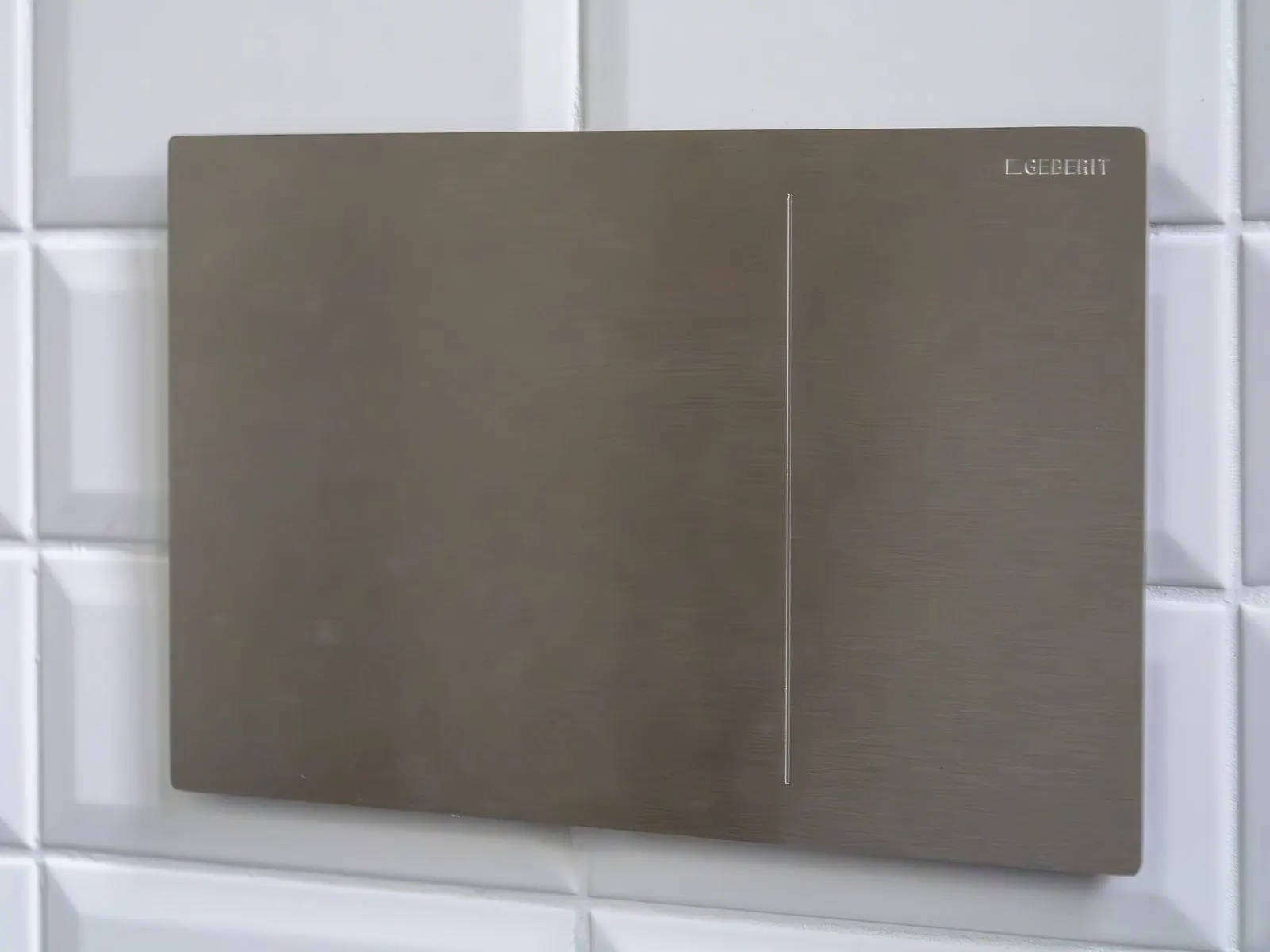 Pulsador de doble descarga de acero cepillado de una cisterna empotrada en pared alicatada
